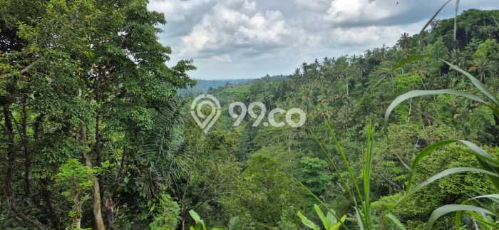 Lahan Dijual Lokasi Payangan, Gianyar dengan Luas Tanah 64000m2 dan Status SHM Lahan Dijual Lokasi Payangan, Gianyar dengan Luas Tanah 64000m2 dan Status SHM
