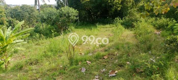 Tanah Investasi Dijual di Buleleng Punya Luas 2000m2 Tanah Investasi Dijual di Buleleng Punya Luas 2000m2