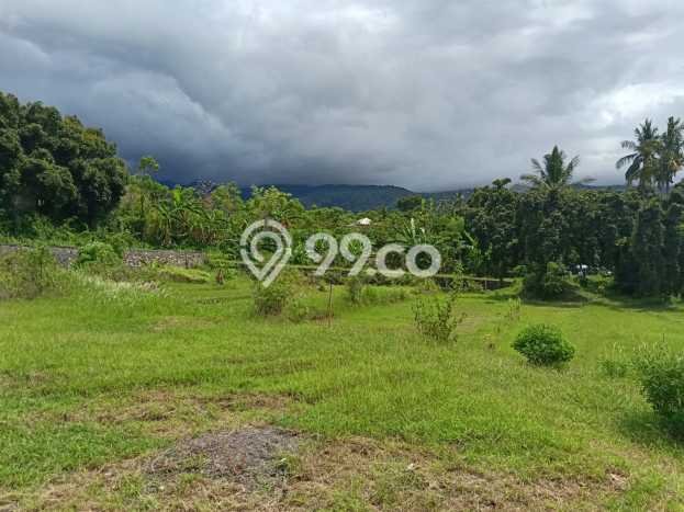 Kavling Tanah Dijual di Buleleng, Buleleng, Luas 1000m2 Area Strategis Kavling Tanah Dijual di Buleleng, Buleleng, Luas 1000m2 Area Strategis