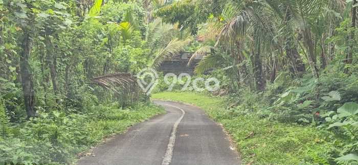 Lahan Dijual Lokasi Payangan, Gianyar dengan Luas Tanah 64000m2 dan Status SHM Lahan Dijual Lokasi Payangan, Gianyar dengan Luas Tanah 64000m2 dan Status SHM