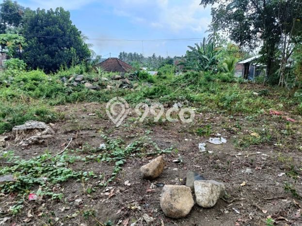 Tanah Kavling Dijual di Lovina, Buleleng dengan Luas Tanah 500m2 Tanah Kavling Dijual di Lovina, Buleleng dengan Luas Tanah 500m2
