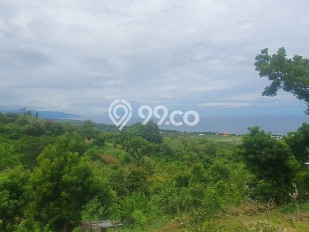 Untuk Dijual Tanah di Buleleng, Luas 1210m2 SHM Untuk Dijual Tanah di Buleleng, Luas 1210m2 SHM