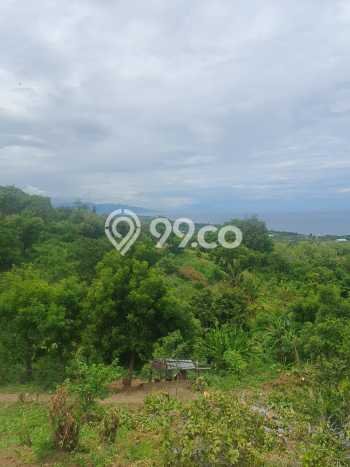 Untuk Dijual Tanah di Buleleng, Luas 1210m2 SHM Untuk Dijual Tanah di Buleleng, Luas 1210m2 SHM