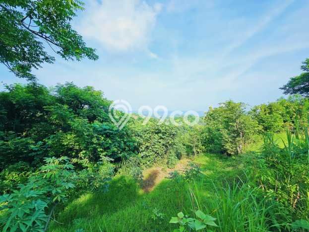 Tanah Investasi Dijual di Buleleng Punya Luas 4330m2 Tanah Investasi Dijual di Buleleng Punya Luas 4330m2