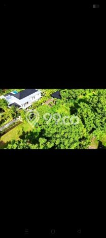 Tanah Investasi Dijual di Buleleng Punya Luas 4330m2 Tanah Investasi Dijual di Buleleng Punya Luas 4330m2