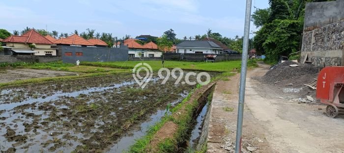 Untuk Dijual Tanah 1900m2 di Anturan, Buleleng Untuk Dijual Tanah 1900m2 di Anturan, Buleleng