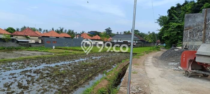 Untuk Dijual Tanah 1900m2 di Anturan, Buleleng Untuk Dijual Tanah 1900m2 di Anturan, Buleleng