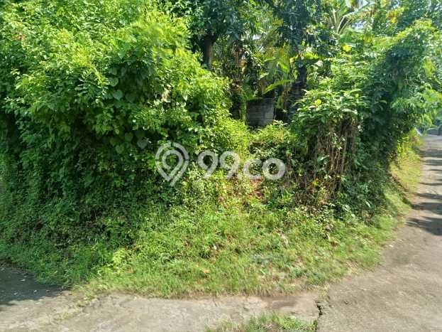 Lahan untuk Dijual di Gerokgak Buleleng Luas 5000m2 Lahan untuk Dijual di Gerokgak Buleleng Luas 5000m2