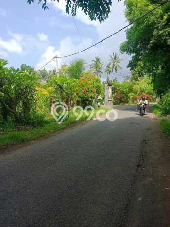 Untuk Dijual Tanah 4000m2 di Lovina, Buleleng Untuk Dijual Tanah 4000m2 di Lovina, Buleleng