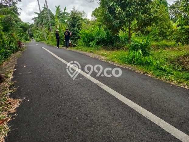 Tanah Kavling Dijual di Panji, Buleleng dengan Luas Tanah 2000m2 Tanah Kavling Dijual di Panji, Buleleng dengan Luas Tanah 2000m2