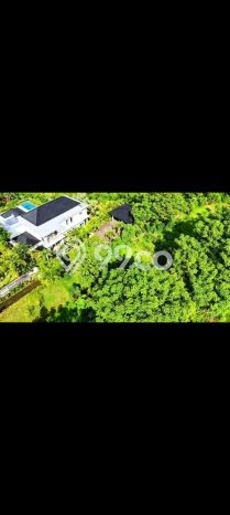 Tanah Investasi Dijual di Buleleng Punya Luas 4330m2 Tanah Investasi Dijual di Buleleng Punya Luas 4330m2