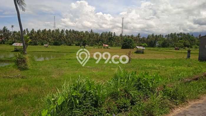 Untuk Dijual Tanah di Buleleng, Luas 3800m2 SHM Untuk Dijual Tanah di Buleleng, Luas 3800m2 SHM