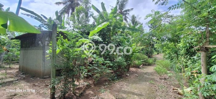 Tanah Kavling Dijual di Canggu, Badung dengan Luas Tanah 500m2 Tanah Kavling Dijual di Canggu, Badung dengan Luas Tanah 500m2