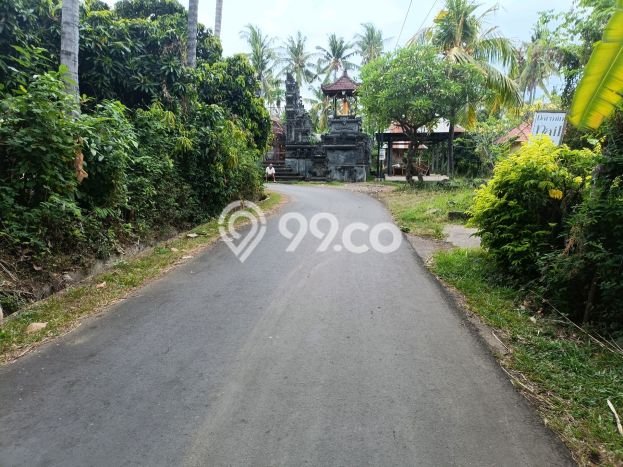 Dijual Tanah di Buleleng, Luas 1000m2 SHM Dijual Tanah di Buleleng, Luas 1000m2 SHM