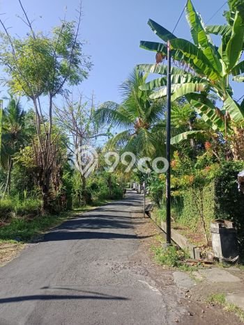 Tanah Dijual di Buleleng Seluas 2000m2 Strategis Tanah Dijual di Buleleng Seluas 2000m2 Strategis