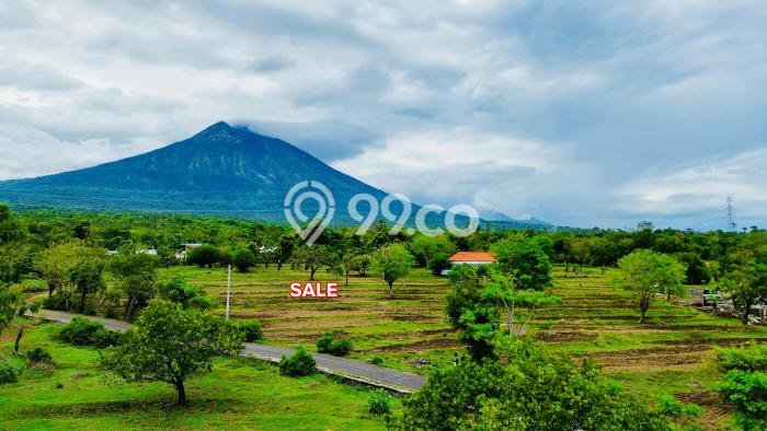 Jarang Ada! Tanah di Amed Punya Luas 500m2 SHM Jarang Ada! Tanah di Amed Punya Luas 500m2 SHM