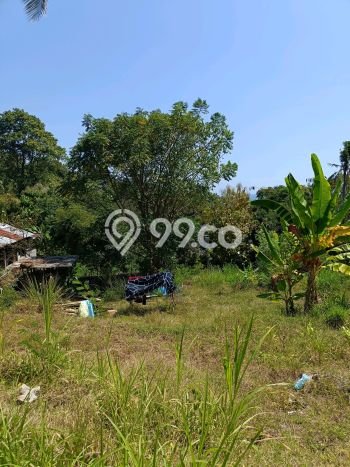 Tanah Investasi Dijual di Buleleng Punya Luas 2000m2 Tanah Investasi Dijual di Buleleng Punya Luas 2000m2