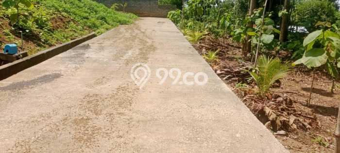 Tanah Dijual di Buleleng Seluas 930m2 Strategis Tanah Dijual di Buleleng Seluas 930m2 Strategis