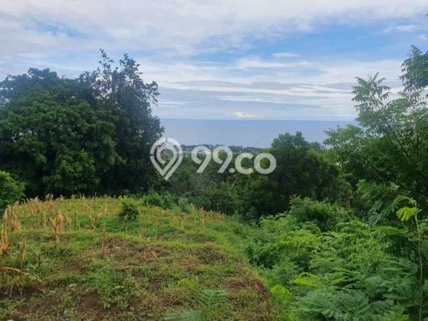Untuk Dijual Tanah di Buleleng, Luas 1210m2 SHM Untuk Dijual Tanah di Buleleng, Luas 1210m2 SHM