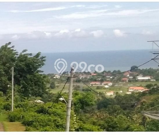Tanah Kavling Dijual di Buleleng dengan Spesifikasi 5000m2 Tanah Kavling Dijual di Buleleng dengan Spesifikasi 5000m2