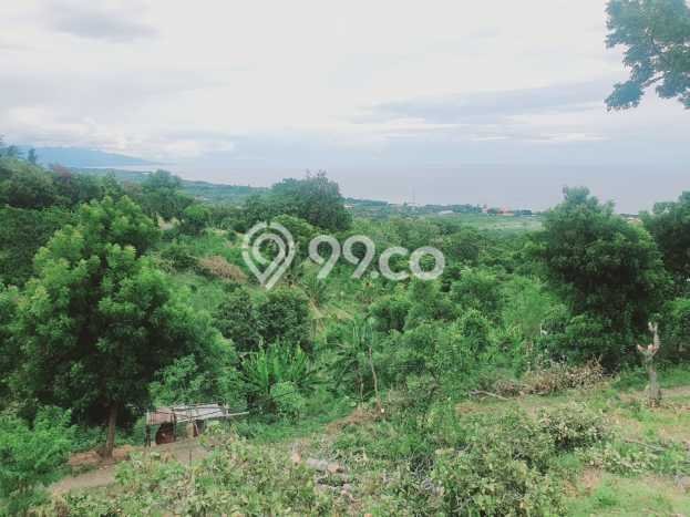 Untuk Dijual Tanah di Buleleng, Luas 1210m2 SHM Untuk Dijual Tanah di Buleleng, Luas 1210m2 SHM