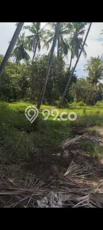 Tanah Dijual Lokasi Tejakula Buleleng SHM Tanah Dijual Lokasi Tejakula Buleleng SHM