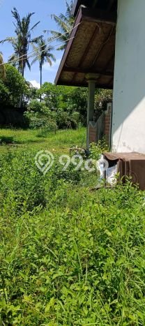 Untuk Dijual Tanah di Buleleng, Luas 1000m2 SHM Untuk Dijual Tanah di Buleleng, Luas 1000m2 SHM