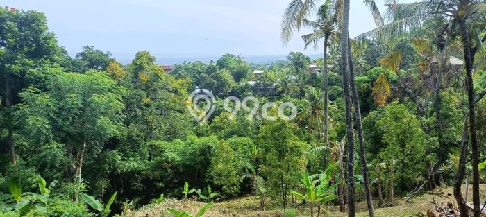 Rumah Minimalis 2 KT di Kayuputih Buleleng Unfurnished Rumah Minimalis 2 KT di Kayuputih Buleleng Unfurnished