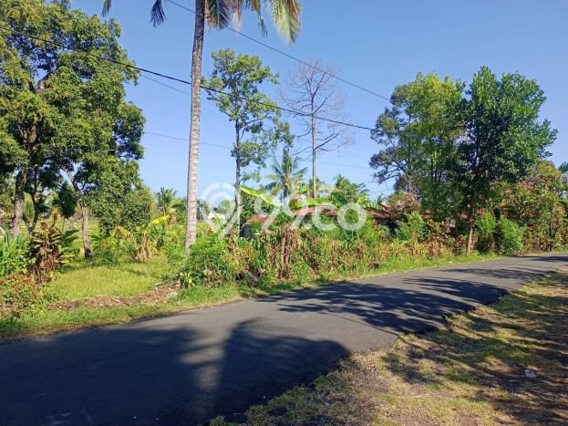 Tanah Dijual di Buleleng Seluas 2000m2 Strategis Tanah Dijual di Buleleng Seluas 2000m2 Strategis