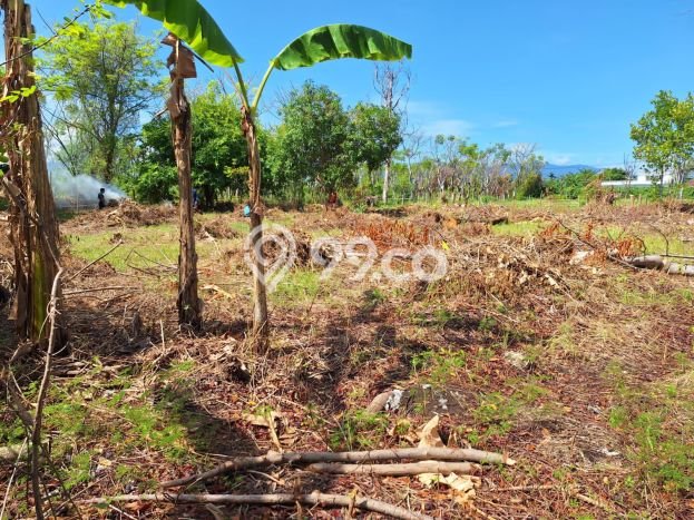 Tanah Dijual di Buleleng Seluas 1250m2 Strategis Tanah Dijual di Buleleng Seluas 1250m2 Strategis
