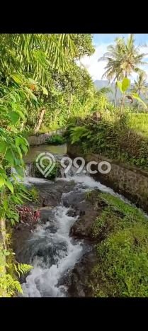 Tanah Dijual di Buleleng Seluas 2000m2 Strategis Tanah Dijual di Buleleng Seluas 2000m2 Strategis