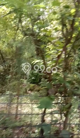 Tanah Kavling untuk Dijual di Gerokgak Buleleng 1000m2 Tanah Kavling untuk Dijual di Gerokgak Buleleng 1000m2