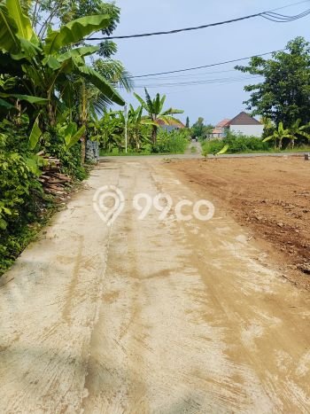 Dijual Tanah Lokasi Lovina, Buleleng Seluas 482m2 Dijual Tanah Lokasi Lovina, Buleleng Seluas 482m2