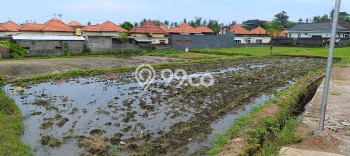 Untuk Dijual Tanah 1900m2 di Anturan, Buleleng Untuk Dijual Tanah 1900m2 di Anturan, Buleleng