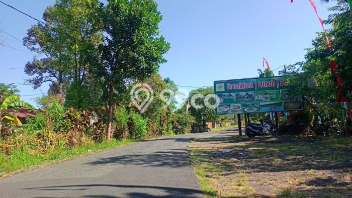 Tanah Dijual di Buleleng Seluas 2000m2 Strategis Tanah Dijual di Buleleng Seluas 2000m2 Strategis