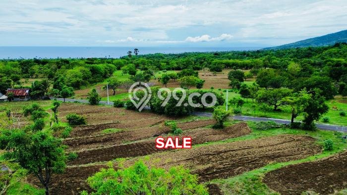 Jarang Ada! Tanah di Amed Punya Luas 500m2 SHM Jarang Ada! Tanah di Amed Punya Luas 500m2 SHM
