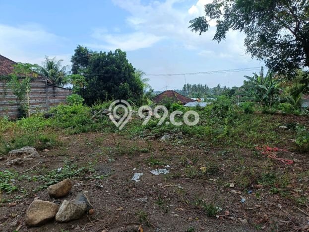 Tanah Kavling Dijual di Lovina, Buleleng dengan Luas Tanah 500m2 Tanah Kavling Dijual di Lovina, Buleleng dengan Luas Tanah 500m2