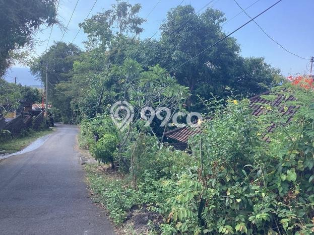 Rumah Minimalis 2 KT di Kayuputih Buleleng Unfurnished Rumah Minimalis 2 KT di Kayuputih Buleleng Unfurnished