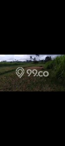 Lahan Investasi Lokasi Karangasem Karangasem SHM Lahan Investasi Lokasi Karangasem Karangasem SHM