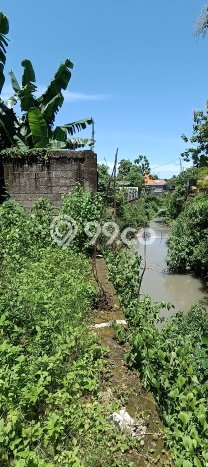 Untuk Dijual Tanah di Buleleng, Luas 1000m2 SHM Untuk Dijual Tanah di Buleleng, Luas 1000m2 SHM