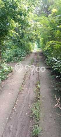 Tanah Kavling untuk Dijual di Gerokgak Buleleng 1000m2 Tanah Kavling untuk Dijual di Gerokgak Buleleng 1000m2