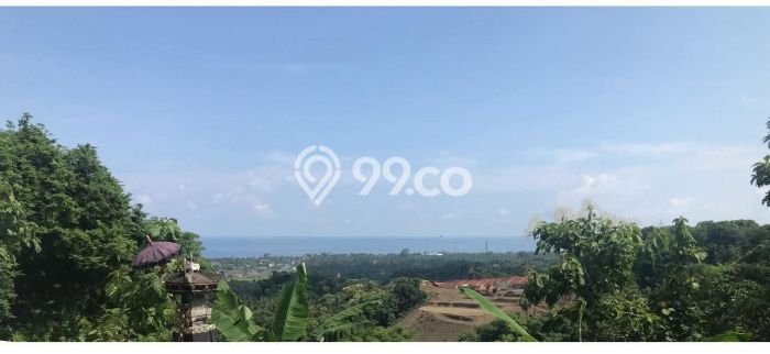 Tanah Kavling Dijual di Buleleng dengan Spesifikasi 5000m2 Tanah Kavling Dijual di Buleleng dengan Spesifikasi 5000m2