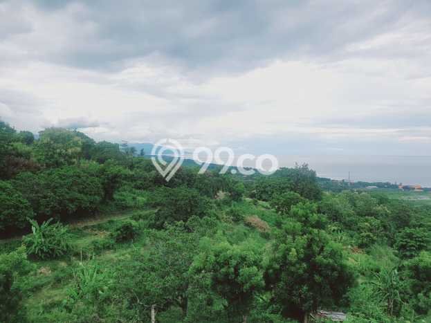 Untuk Dijual Tanah di Buleleng, Luas 1210m2 SHM Untuk Dijual Tanah di Buleleng, Luas 1210m2 SHM