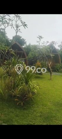 HARGA TERBAIK! Vila di Gerokgak, Area 1250m2m², Lokasi Prima HARGA TERBAIK! Vila di Gerokgak, Area 1250m2m², Lokasi Prima