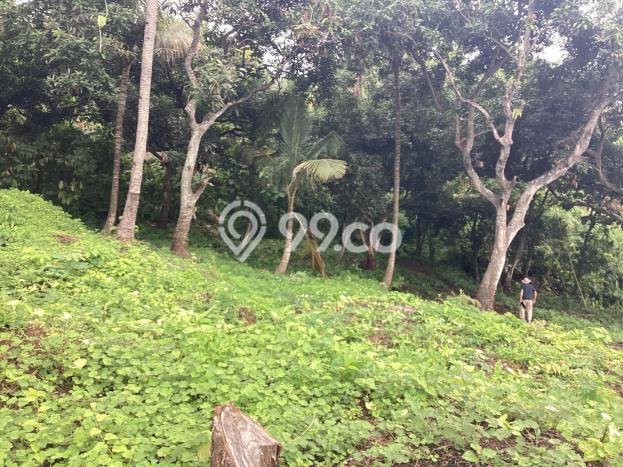 Untuk Dijual Tanah di Buleleng, Luas 1900m2 SHM Untuk Dijual Tanah di Buleleng, Luas 1900m2 SHM