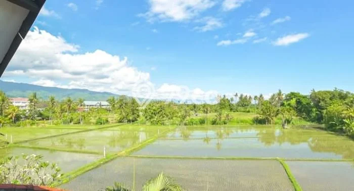 Vila Strategis di , Area 1010m2m², Akses mudah Buleleng, Buleleng Vila Strategis di , Area 1010m2m², Akses mudah Buleleng, Buleleng