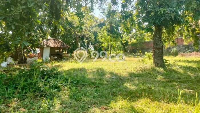 Tanah Dijual Lokasi Strategis di Buleleng dengan Luas 1000m2 Tanah Dijual Lokasi Strategis di Buleleng dengan Luas 1000m2