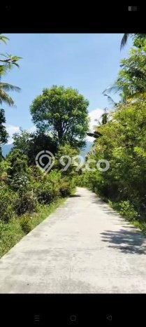 Lahan untuk Dijual di Gerokgak Buleleng Luas 5000m2 Lahan untuk Dijual di Gerokgak Buleleng Luas 5000m2