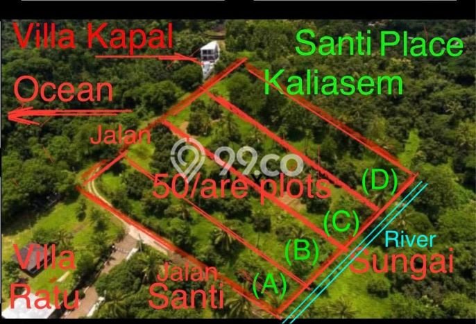 Tanah Kavling Dijual di Buleleng dengan Spesifikasi 5000m2 Tanah Kavling Dijual di Buleleng dengan Spesifikasi 5000m2