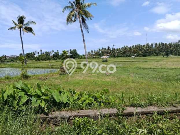 Untuk Dijual Tanah di Buleleng, Luas 3800m2 SHM Untuk Dijual Tanah di Buleleng, Luas 3800m2 SHM